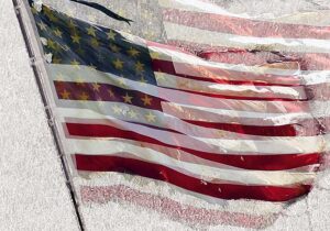 The History of White America