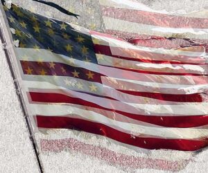 The History of White America