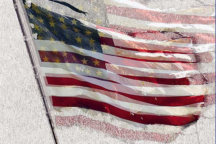 The History of White America