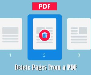 Delete Pages From a PDF