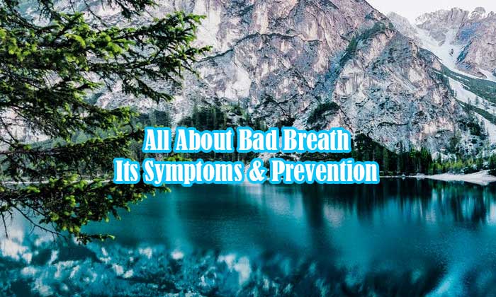 all about bad breath