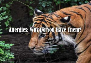 allergies