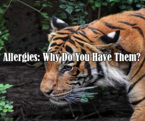 allergies