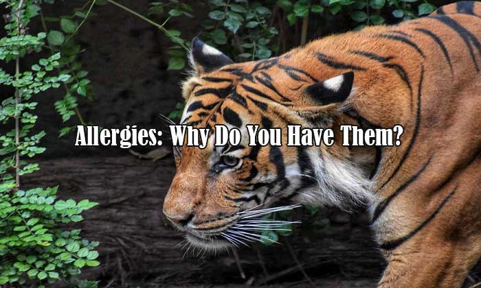 allergies