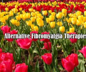 alternative fibromyalgia therapies