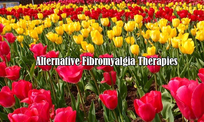 alternative fibromyalgia therapies