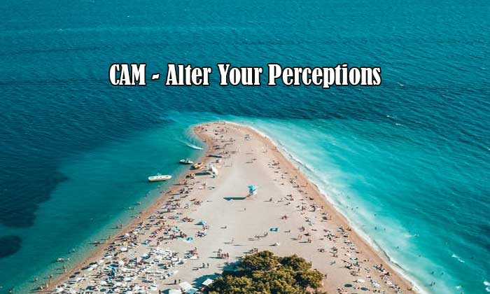 cam