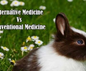 alternative medicine vs conventional medicine