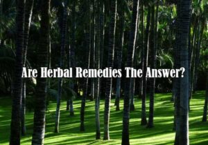 are herbal remedies the answer
