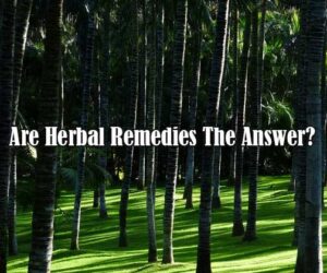 are herbal remedies the answer
