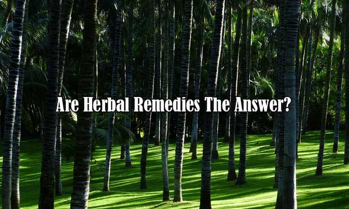 are herbal remedies the answer