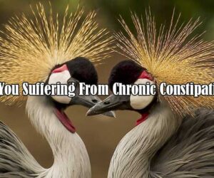 are you suffering from chronic constipation