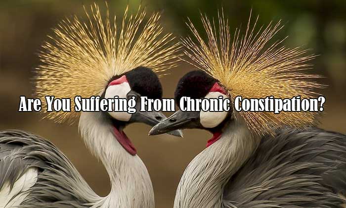 are you suffering from chronic constipation