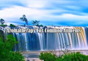 aromatherapy for common ailments