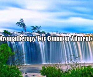aromatherapy for common ailments