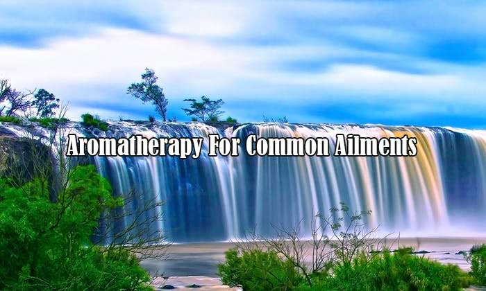 aromatherapy for common ailments
