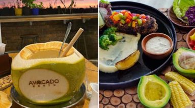 avocado resto