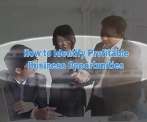 identify profitable business opportunities